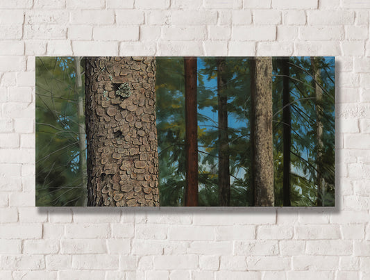 Feels Like Home | 15x30 | Available at The Black Spruce Gallery